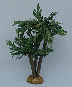 9" Roman Palm Trees - Excellent - Tree3-9