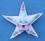 Annalee 3" Star Pin / Ornament - Mint - 970701